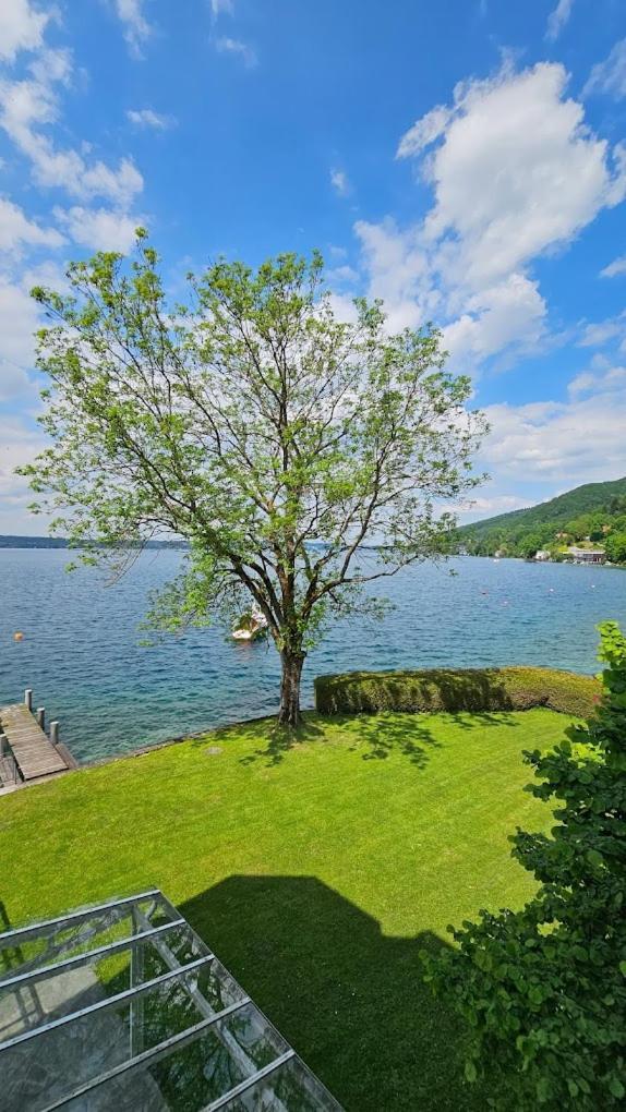 Gasthof Mit Seeterasse & Appartements Zur Landeroith ワイレック エクステリア 写真